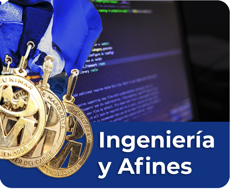 Ingeniería de Sistemas y Afines